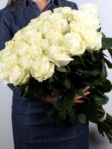 Гигантские розы белые Эквадор - 25 шт.