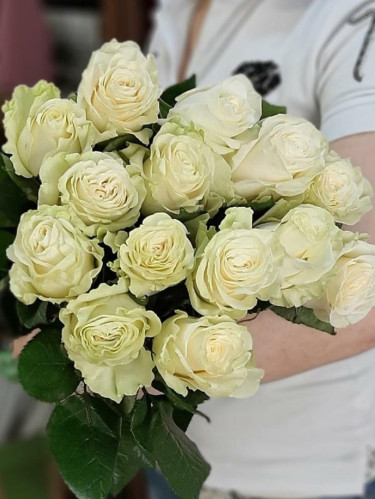 Белая роза Эквадор - 15 шт.