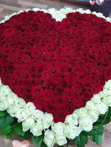 501 роза Красное Сердце