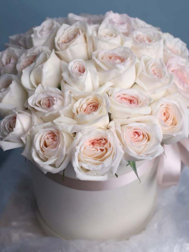 25 пионовидная роза White O’Hara в шляпной коробке