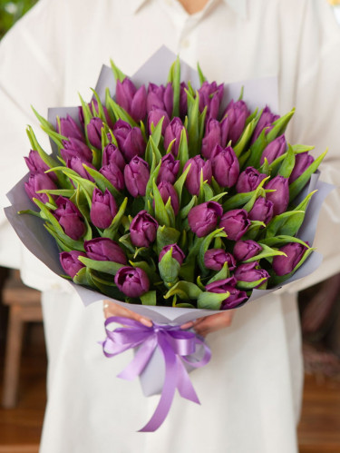 Фиолетовые тюльпаны - 51 шт.