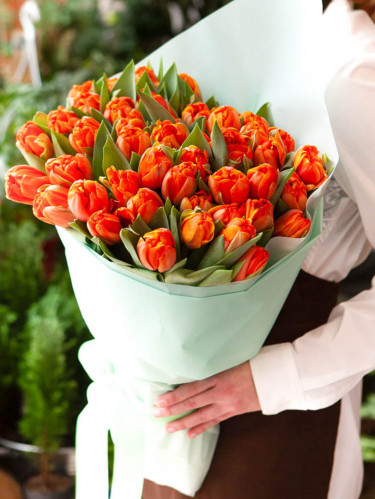 Тюльпаны пионовидные оранжевые - 51 шт.