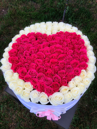 135 Эквадорских роз в виде сердца