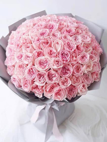 75 пионовидных роз Pink O’Hara (Пинк Охара)