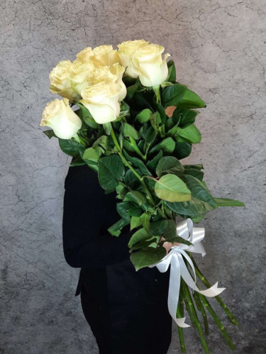 Гигантские розы белые Эквадор - 9 шт.