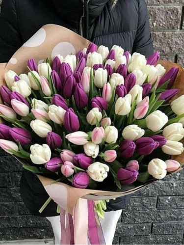 Фиолетовые и Белые тюльпаны Микс
