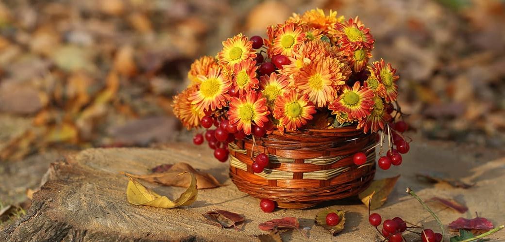 Фото Корзины Осенних Цветов