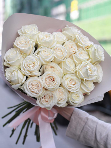 Пионовидная роза White O’Hara - 25 шт.
