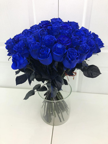 Синие розы - 35 шт.