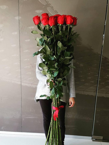 Розы 170 см - 15 шт.