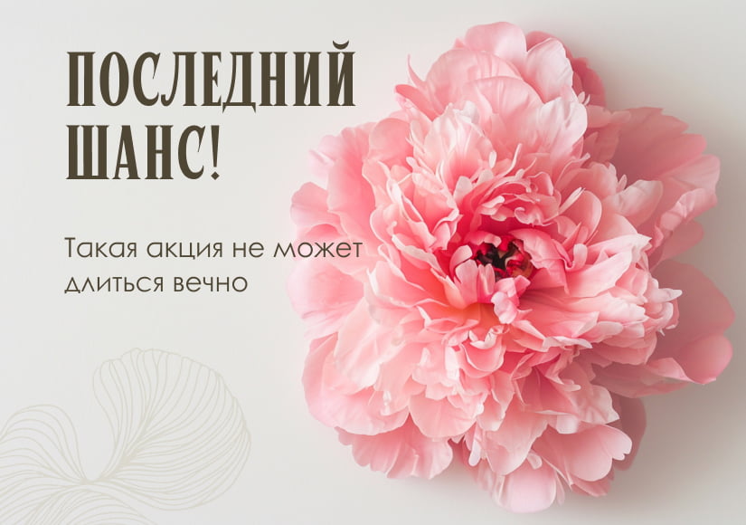 Последний шанс