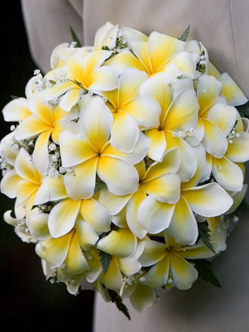 Самые красивые и необычные цветы на планете читайте на сайте Premium-flowers