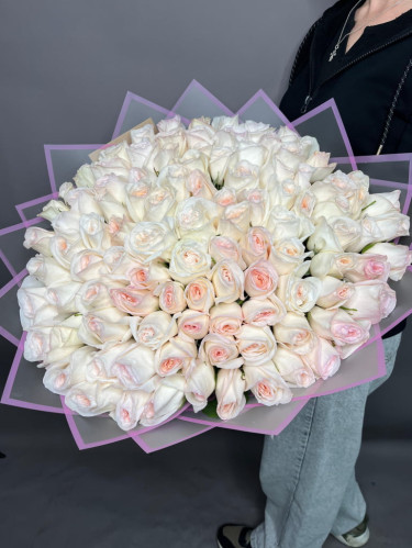 Пионовидная роза White O’Hara 101 шт - 101 шт.