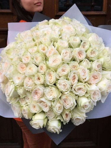 Пионовидная роза White O’Hara 101 шт - 101 шт.
