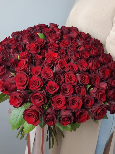 Букет из красных роз Эквадор - 51 шт.