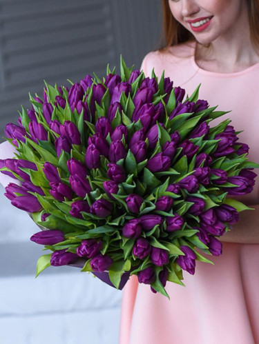 101 фиолетовый тюльпан - 101 шт.