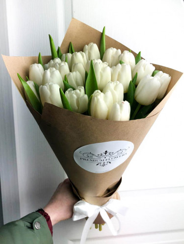 Белые тюльпаны - 25 шт.