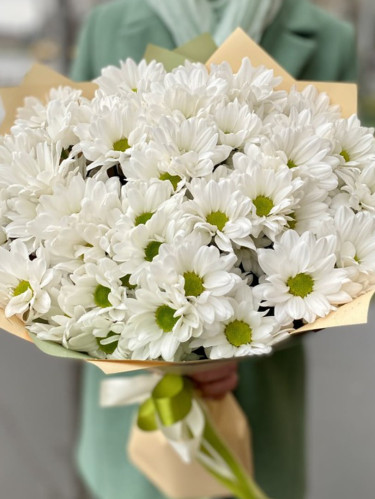 Хризантема кустовая белая - 11 шт.