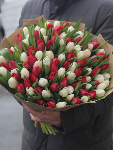 Красные и белые тюльпаны микс - 101 шт.