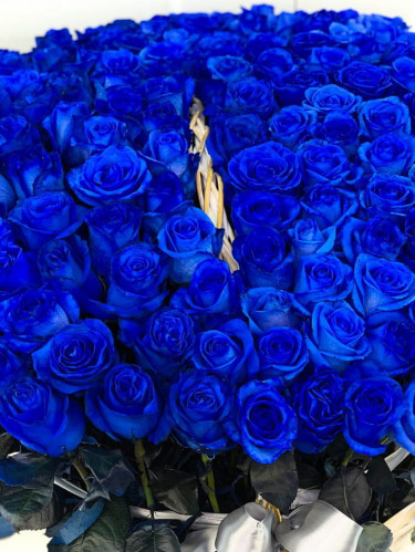 Синие розы 151 шт