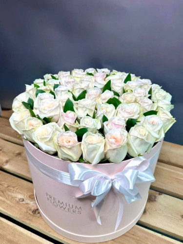 51 Пионовидная роза White O’Hara (Вайт Охара) в коробке