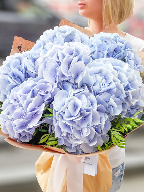 Красивые цветы фото, картинки, букеты, розы | ВКонтакте
