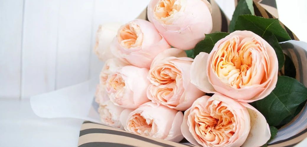 Пионовидные розы: название, сорта с фото