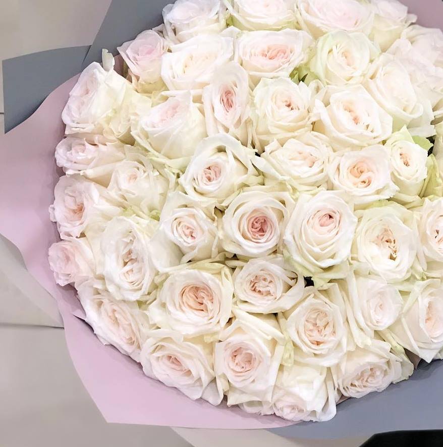 вайт охара 51.jpg