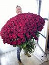 Гигантские розы 110 см фото 1