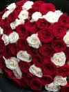 Красные и белые розы микс 101 шт фото 2