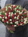 Красные и белые тюльпаны микс фото 1