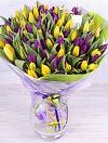 Фиолетовые и желтые тюльпаны фото 1