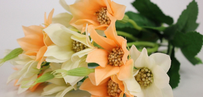 5 лучших способов выбрать свежие цветы - советы «Букет лета».