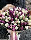 Фиолетовые и Белые тюльпаны Микс фото 1