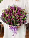 Фиолетовые тюльпаны фото 1