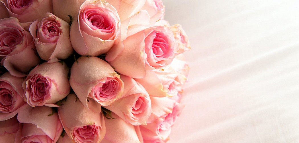 Что означает роза на языке цветов: символика белых, желтых и черных роз