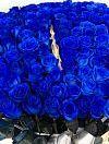 Синие розы 151 шт фото 1