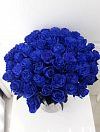 Синие розы фото 2