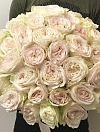 Пионовидная роза White O’Hara фото 1