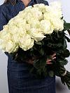 Гигантские розы белые Эквадор - 25 шт. фото 1