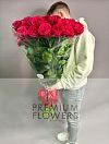Гигантские пионовидные розы Ред Пиано 100 см фото 1