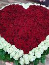 501 роза Красное Сердце фото 1