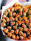 Тюльпаны пионовидные оранжевые фото 4